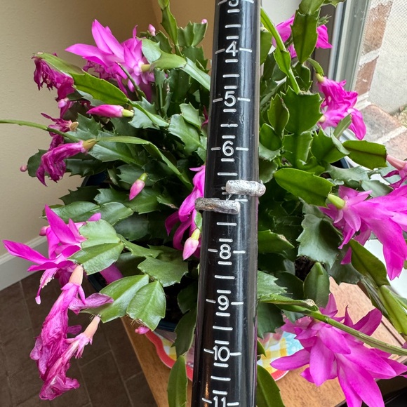 For Christine!  Plus Turquoise ring, as discussed! 🩵 - Picture 5 of 16